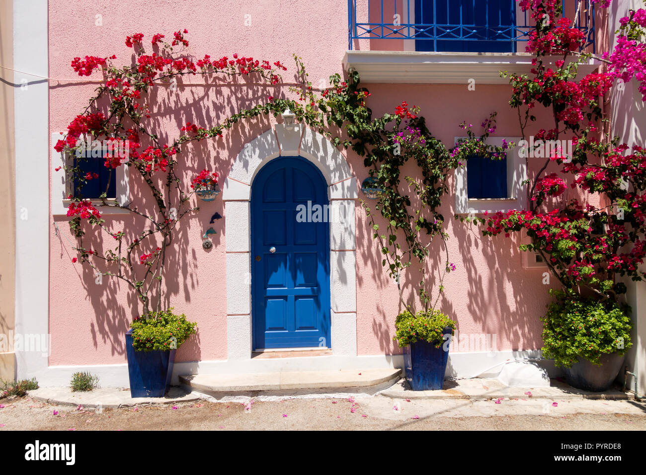 Colorful pink house à Assos Village avec des bougainvilliers en fleurs, Kefalonia, Grèce Banque D'Images