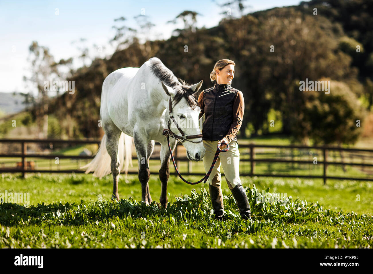 Mid adult woman standing avec son cheval dans un vert pâturage. Banque D'Images