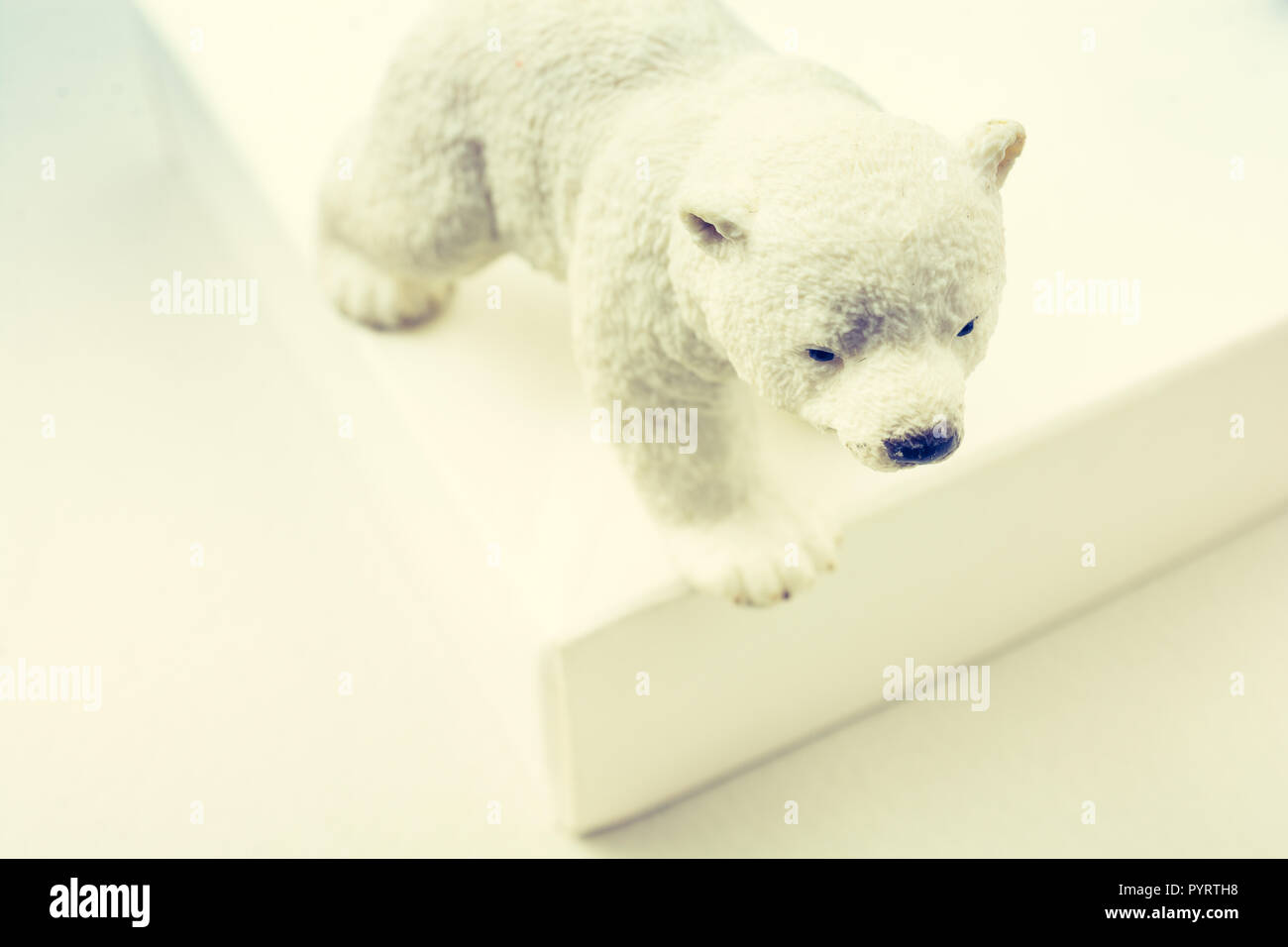 Modèle d'ours blancs placé sur un fond blanc dans la Banque D'Images