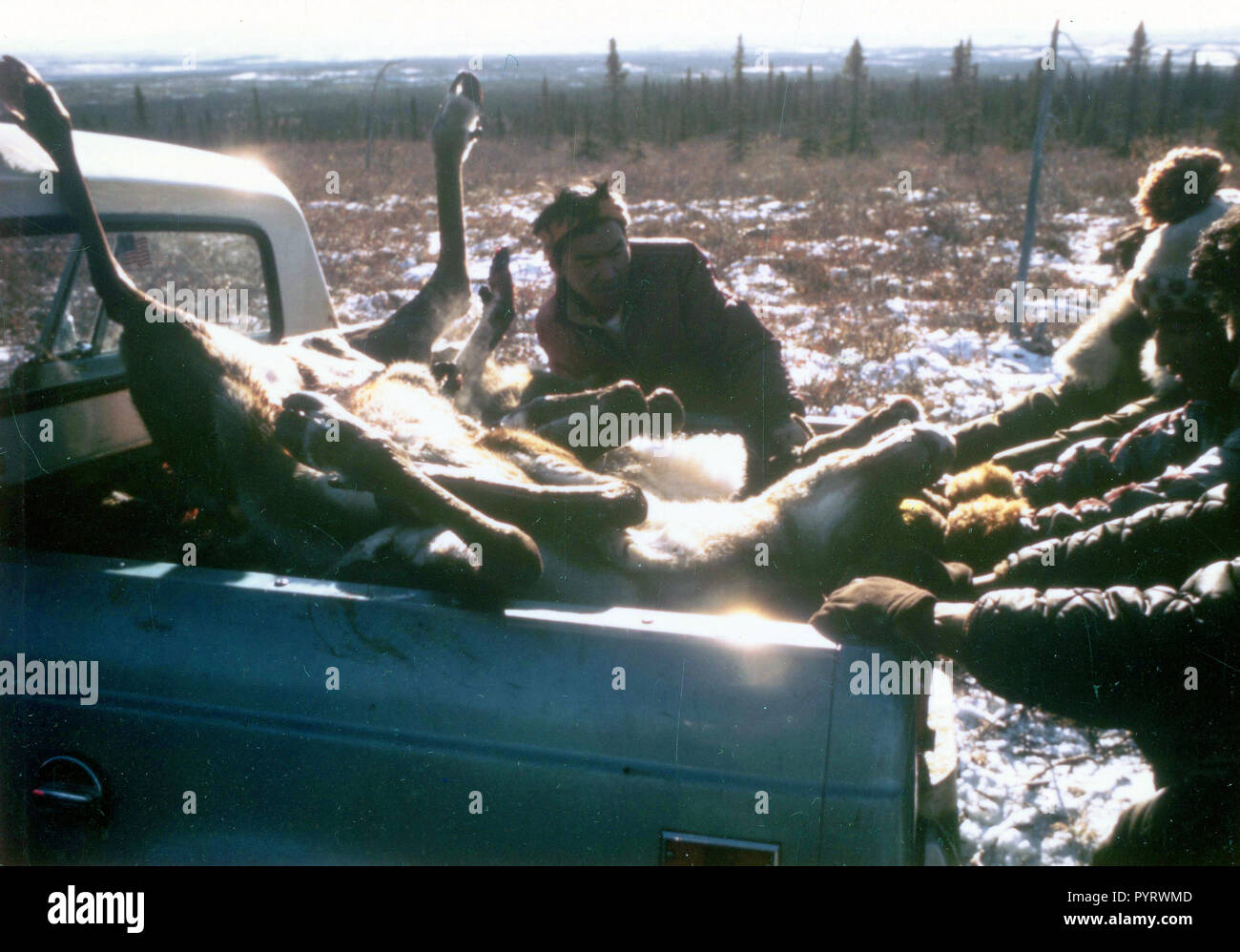 10/7/1972 - Chasseur de caribou, Ambler Alaska area, with dead Caribou Banque D'Images