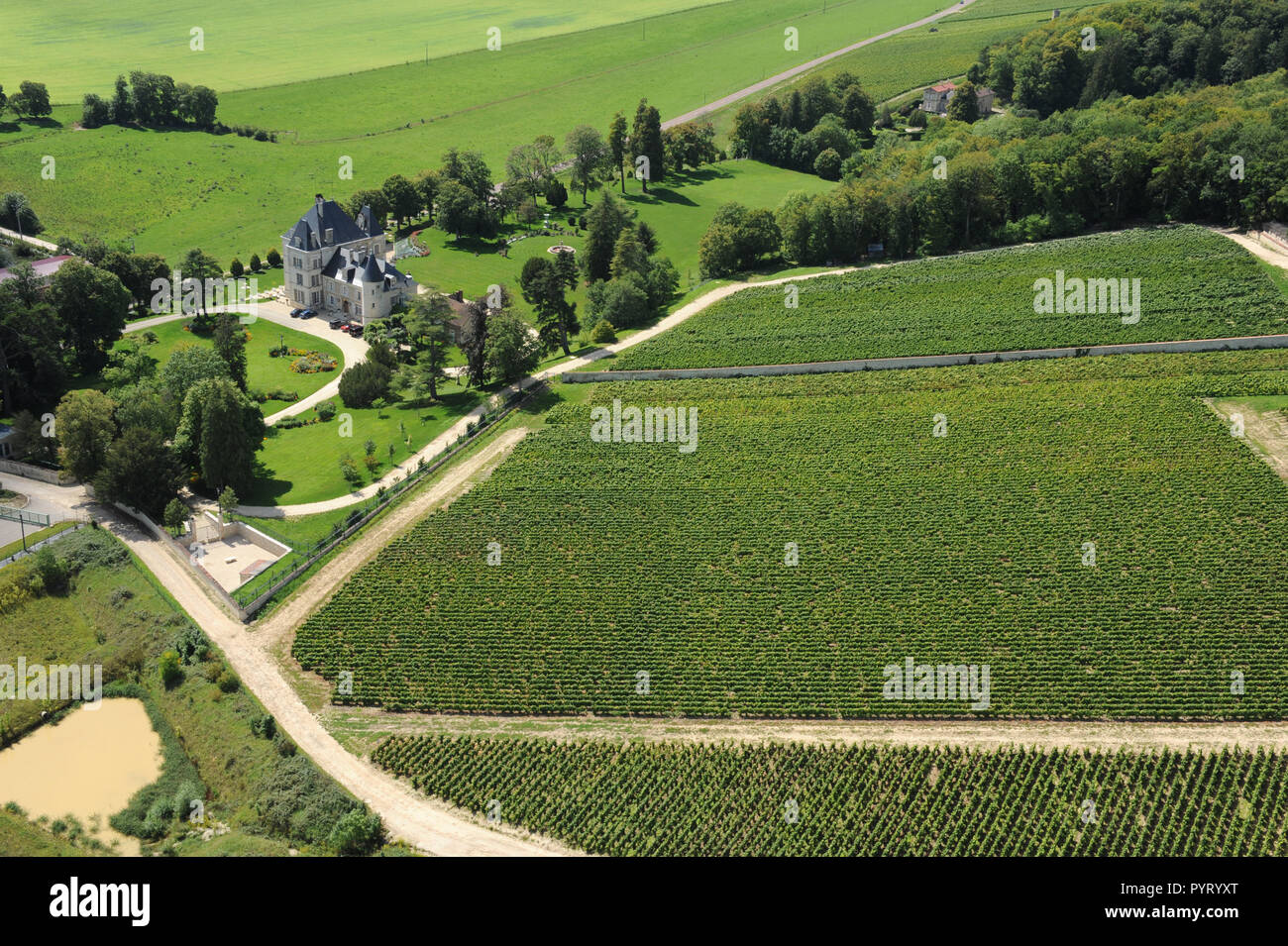 Bligny (nord-est de la France). Paysage rural et les vignes entourant le château du village *** *** légende locale Banque D'Images