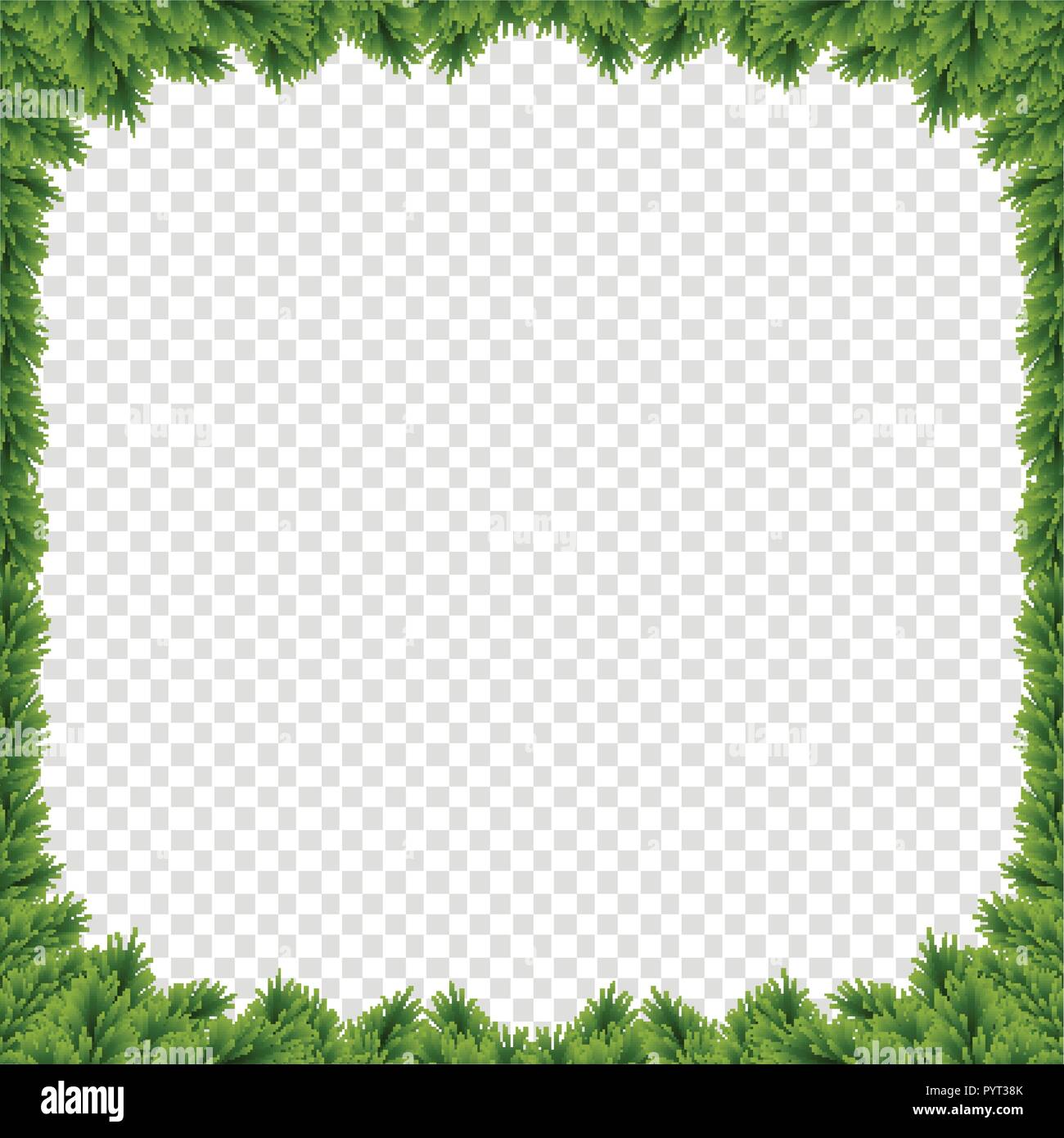 Nouvel an festif de sapins réaliste frontière avec des branches d'arbre de Noël du vecteur et de l'espace pour le texte. Cadre photo de Noël isolé sur fond transparent Illustration de Vecteur