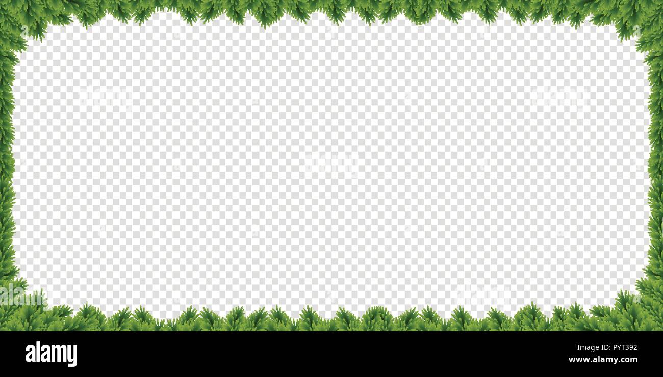 Nouvel an festif de sapins réaliste avec vector frontière rectangle branches d'arbres de Noël et de l'espace pour le texte. Pancarte Noël sur fond transparent. Illustration de Vecteur