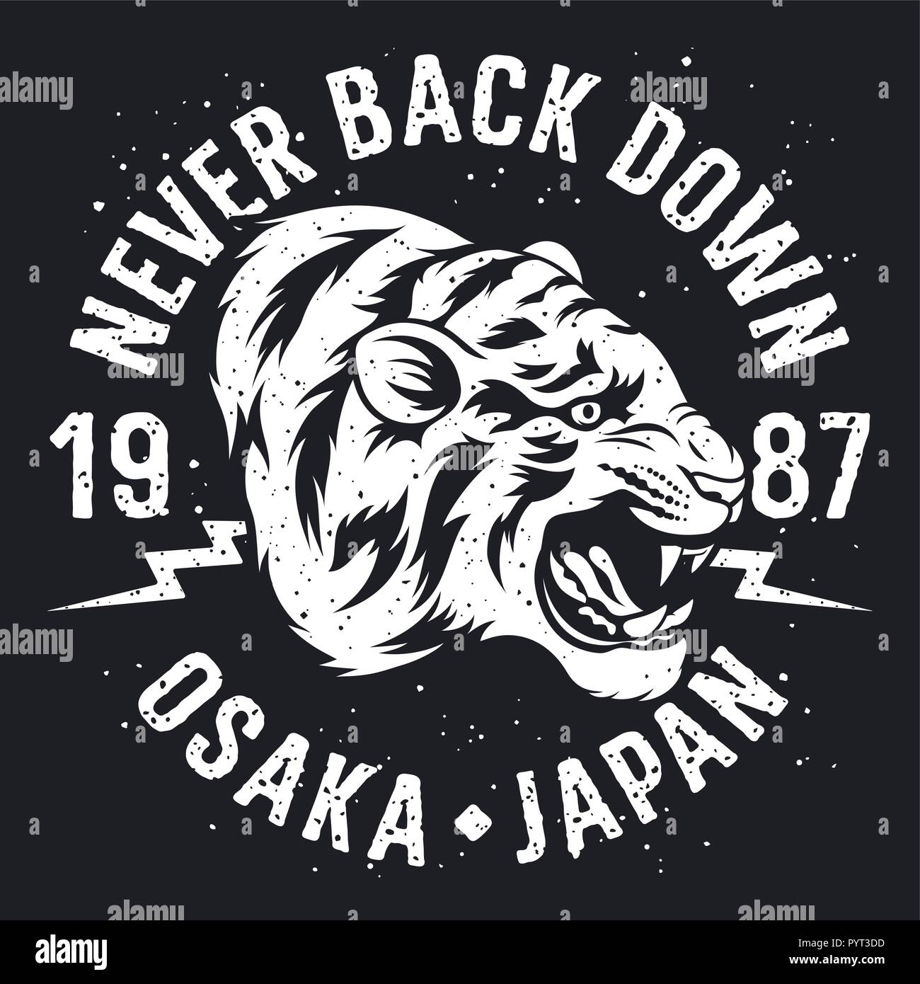 Tigre japonais broderie patch. Vecteur. T-shirt imprimé. Tee graphiques. Typographie slogan Illustration de Vecteur