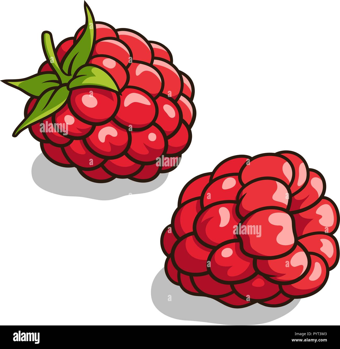 Illustration Vecteur de produits frais, framboises mûres, isolated on white Illustration de Vecteur