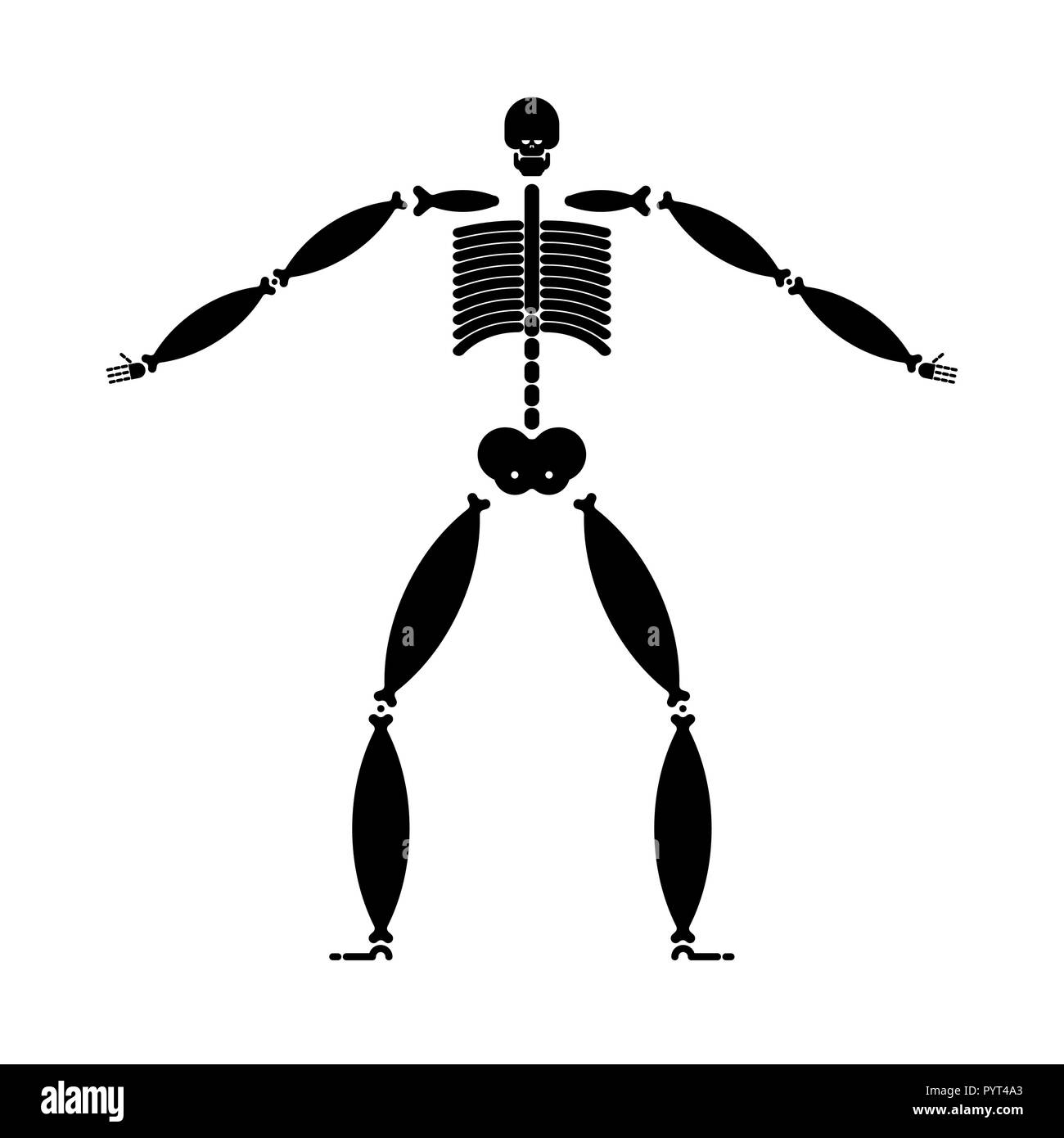Squelette de graisse. L'échelle de l'os. Gros homme anatomie Vector Illustration Illustration de Vecteur