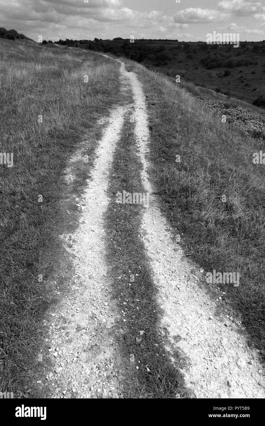 Âge de fer fort, St Catherine s hill, Winchester, Hampshire, England, UK, FR. Banque D'Images