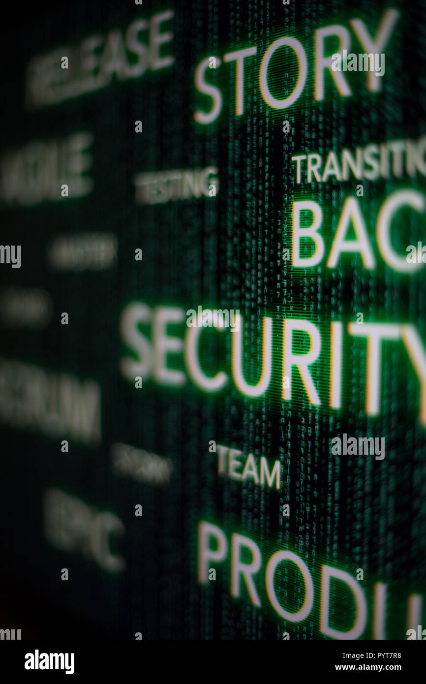 Scrum agile Cyber security concept sur écran vert, développeur Banque D'Images