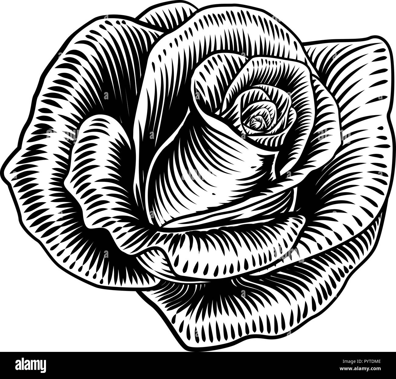 Fleur Rose Style gravure sur bois Illustration de Vecteur