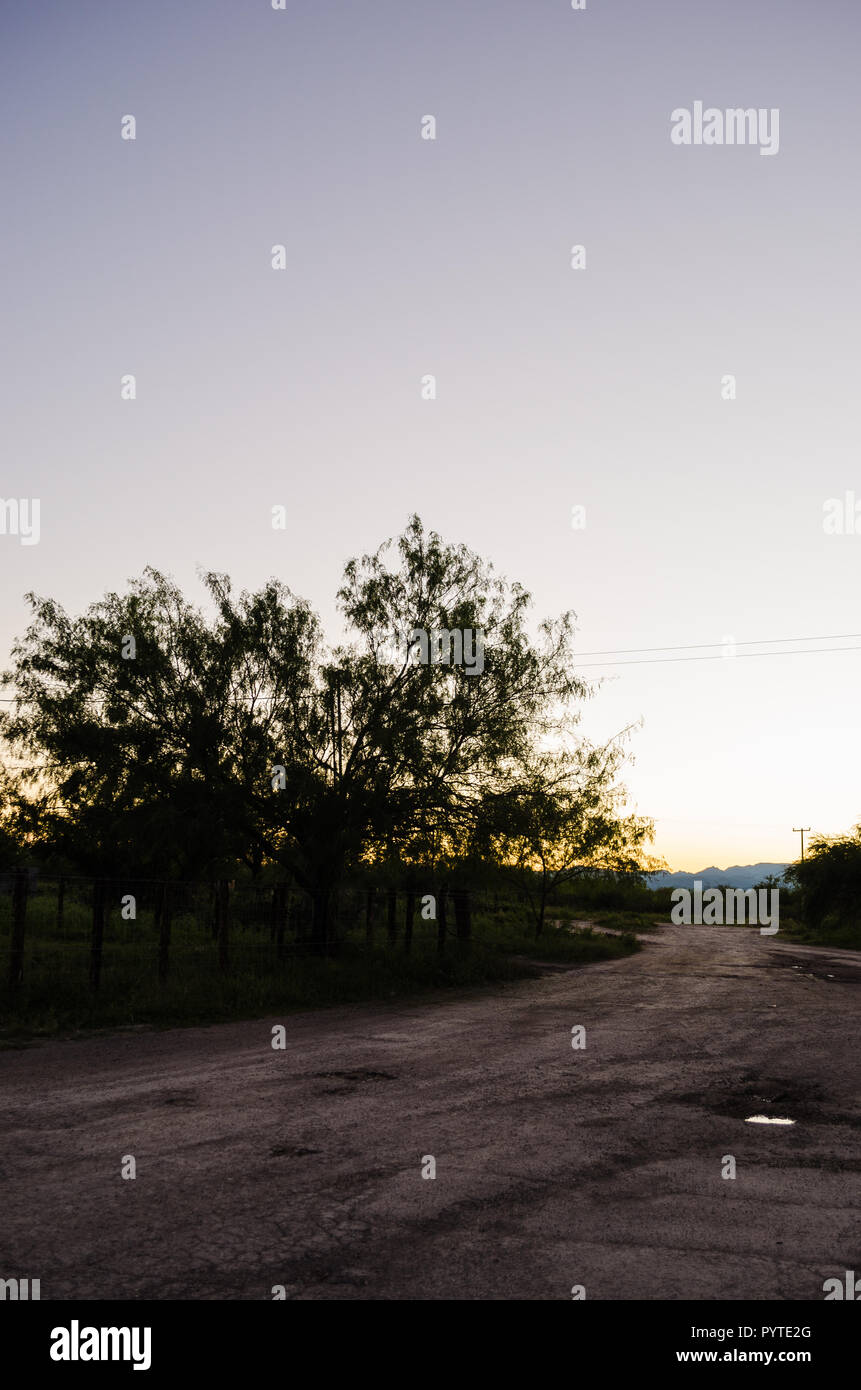 Paysage du côté d'un chemin rural, beau ciel bleu au coucher du soleil, magnifique coucher de soleil dans une journée. Banque D'Images