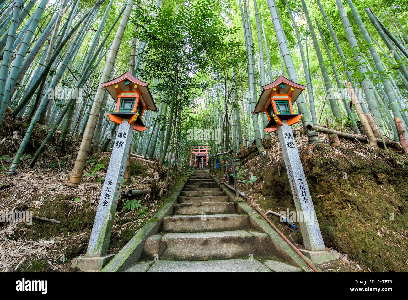 Fushimi Inari gates à Kyoto, Japon Banque D'Images