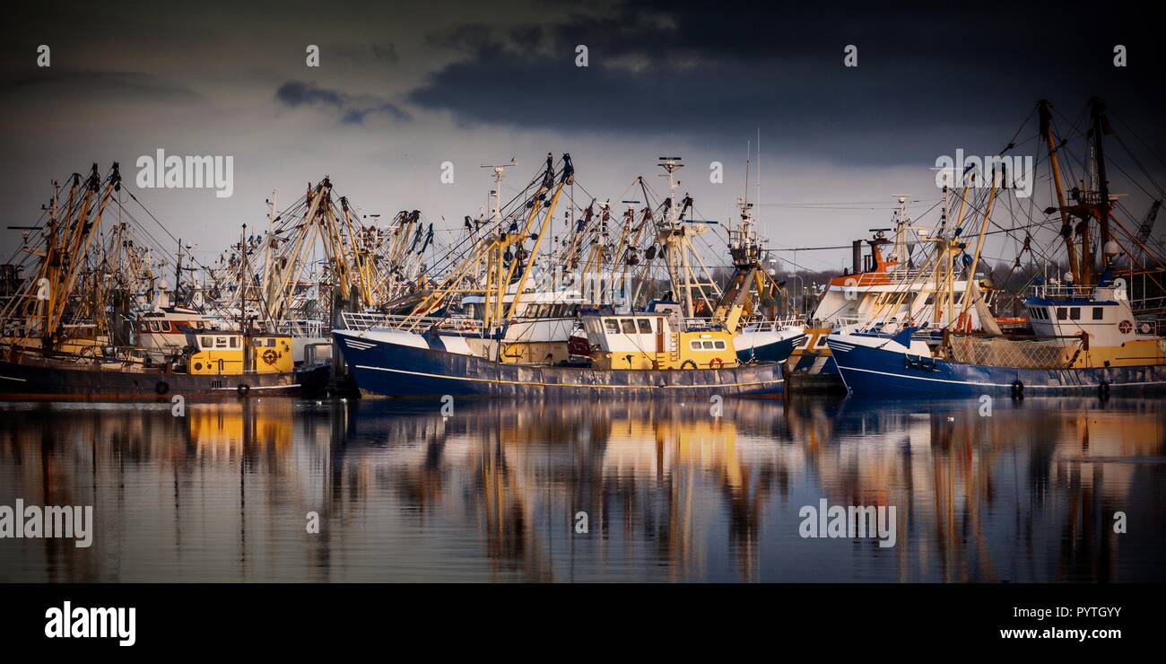 Les navires de pêche en mer Baltique. Qui abrite l'une des plus grandes flottes de pêche des Pays-Bas. La pêche se concentre essentiellement sur la capture de muss Banque D'Images