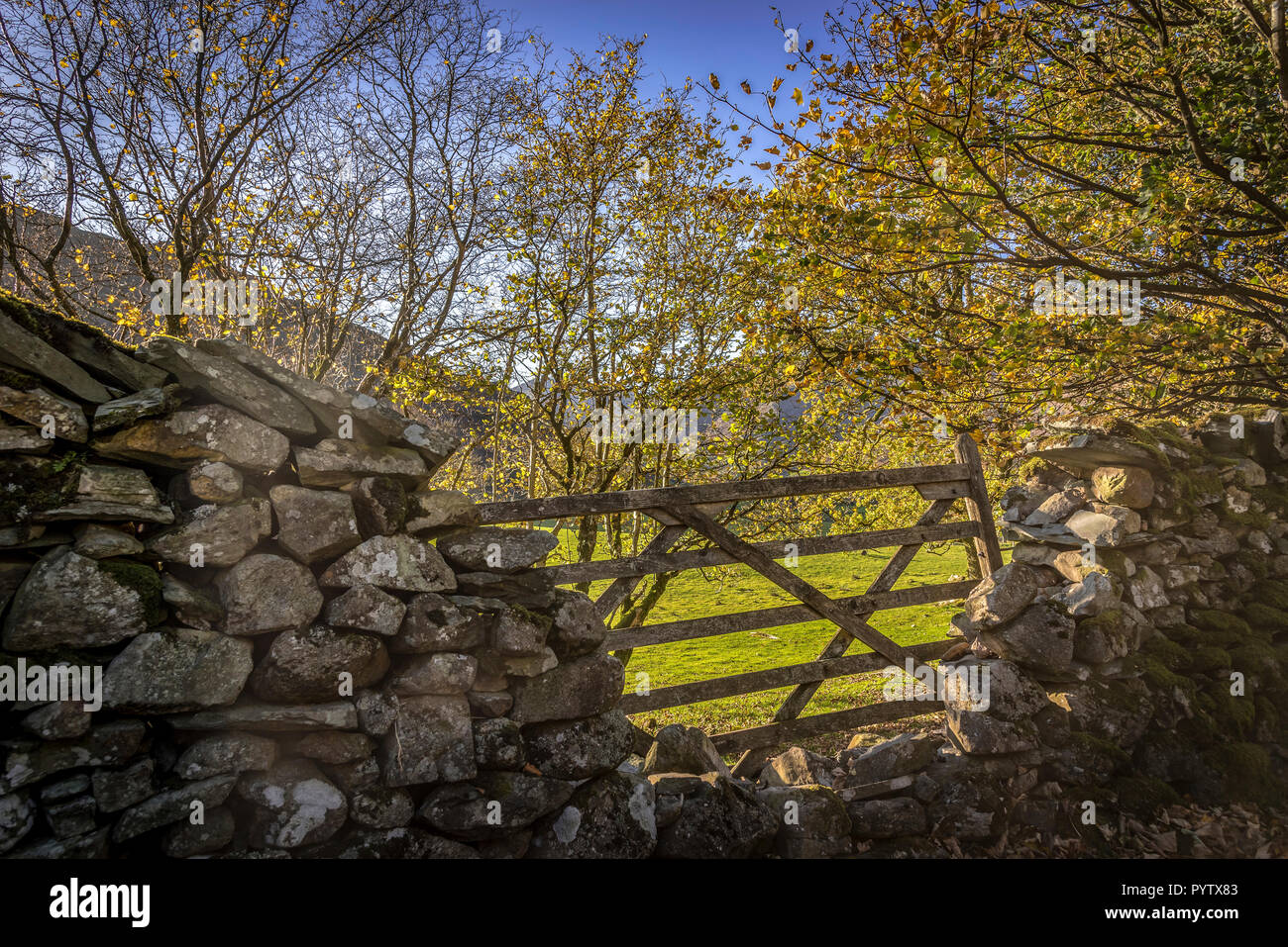 Lake district Nord-ouest de l'Angleterre. De l'automne. Ferme Banque D'Images