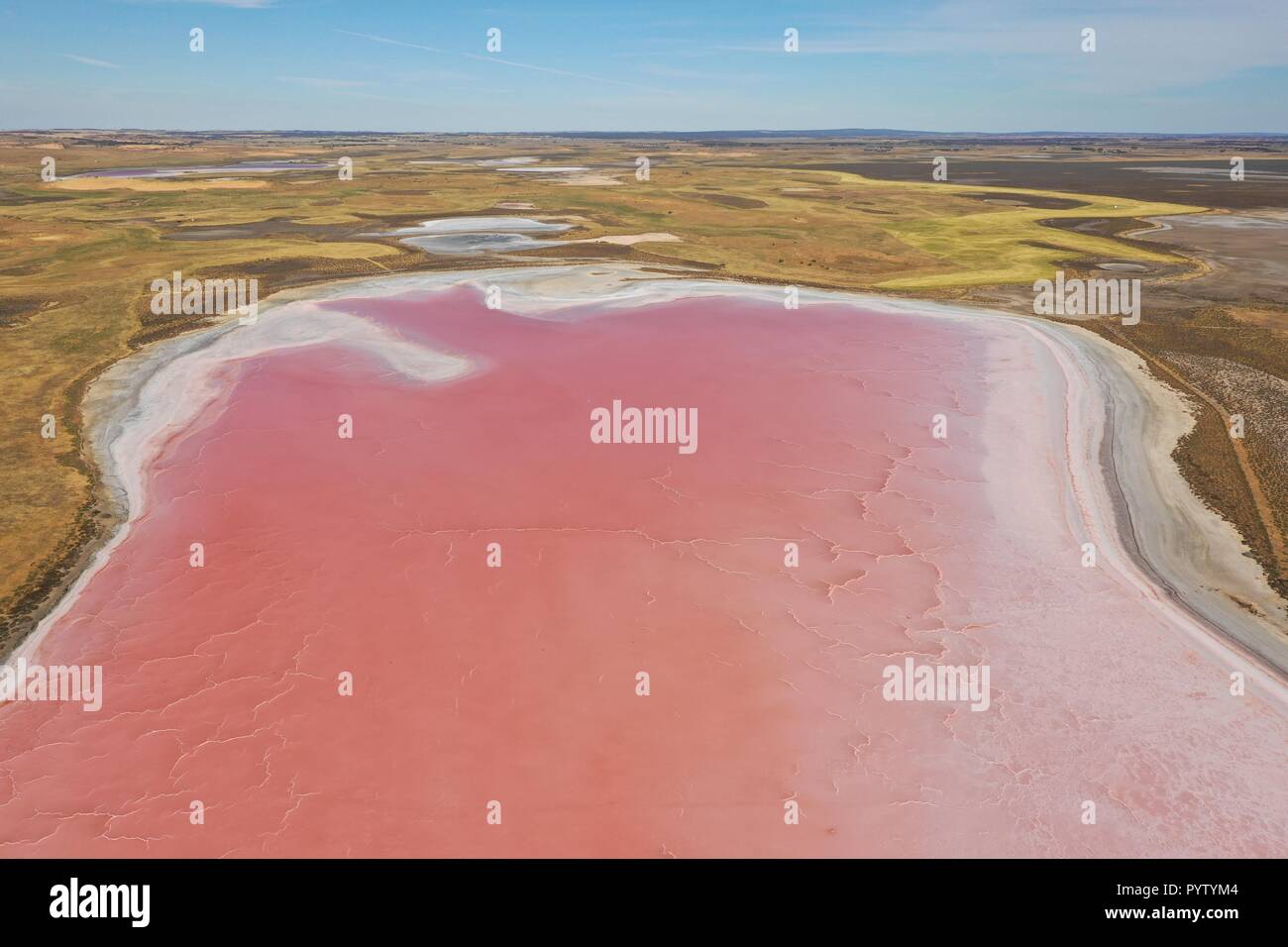 Le Lac Rose. Meningie. L'Australie du Sud. Banque D'Images