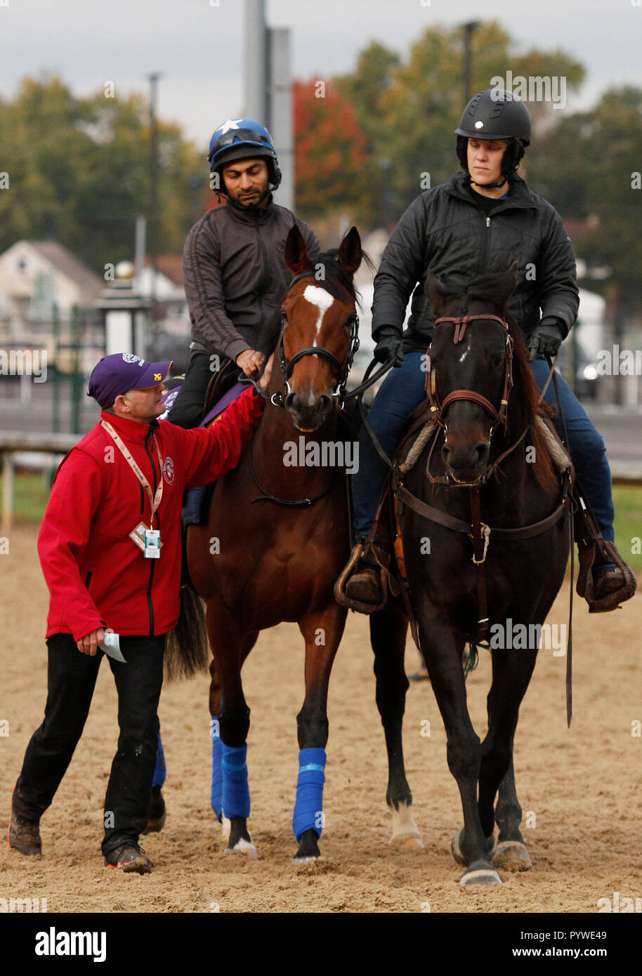 Louisville, Kentucky, USA. 30Th Oct, 2018. 30 octobre 2018 : Activer (GB) formés par John Gosden trains dans la préparation de la Longines Turf le 30 octobre 2018 à Louisville, KY. Candice Chavez/ESW/CSM/Alamy Live News Banque D'Images