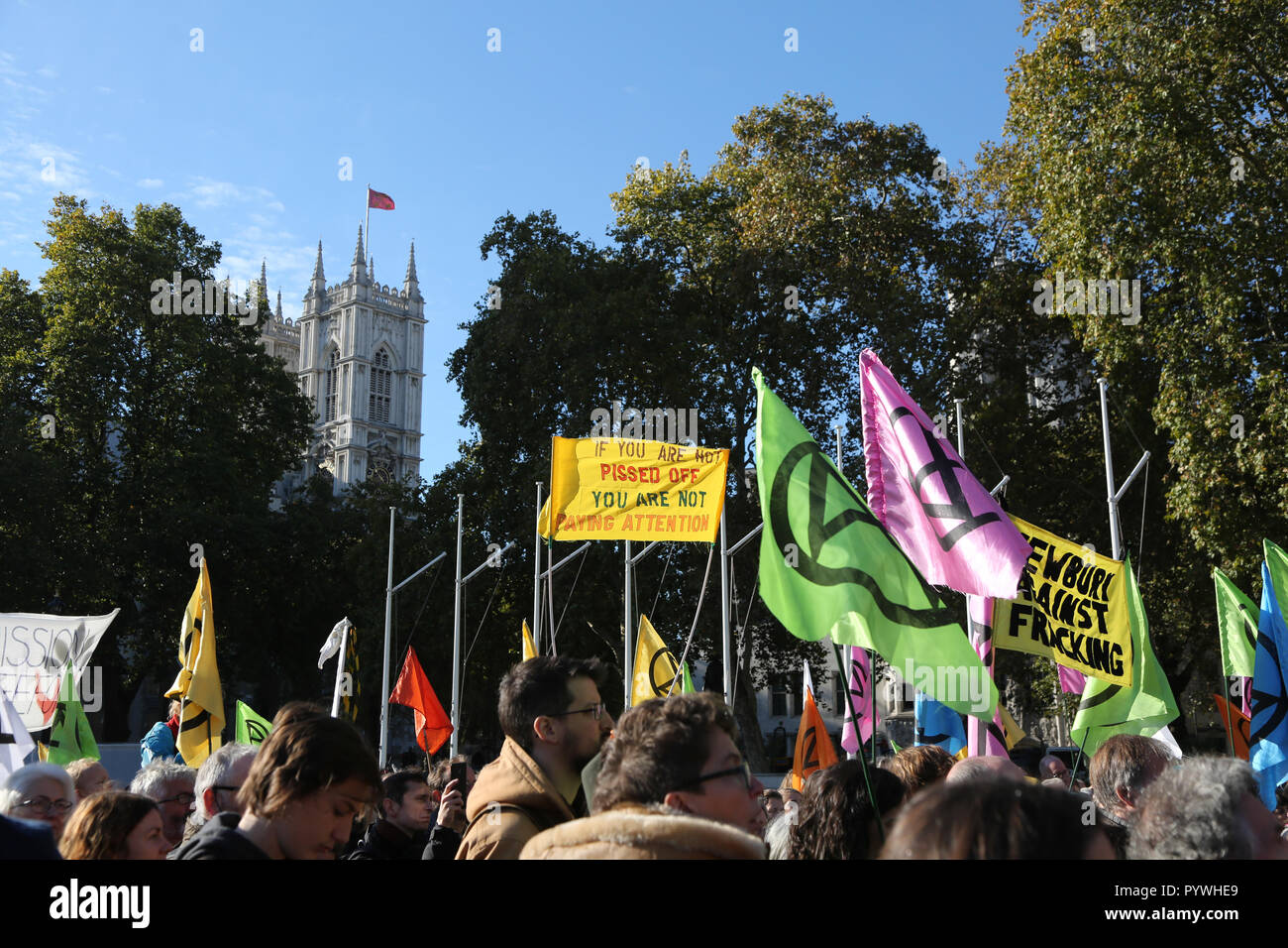 La rébellion contre l'Extinction organisé au Parlement Sqare London UK Banque D'Images