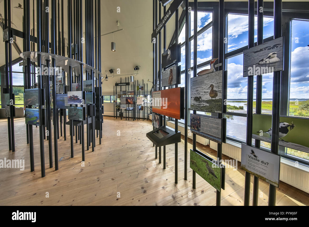 HORNBORGASJON, Suède - le 26 juillet 2016 : Exposition sur la faune locale au centre d'accueil en Hornborgasjon Nature Reserve Banque D'Images
