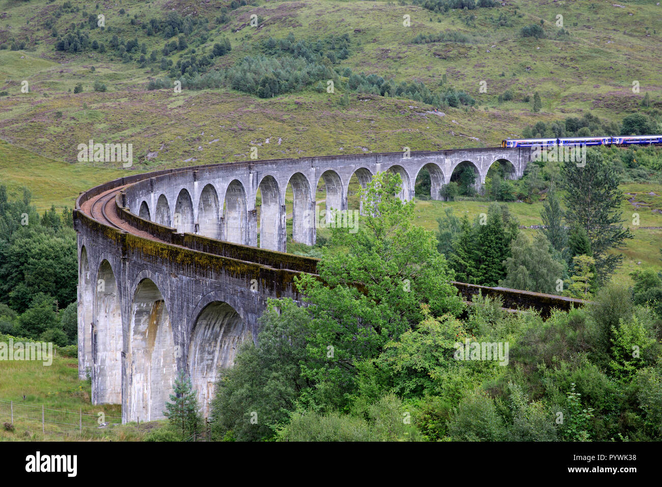 Viaduc de Glenfinnan, Ecosse, Royaume-Uni Banque D'Images