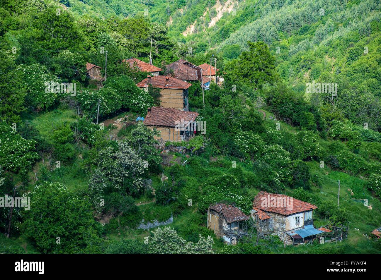 La Bulgarie. De nombreuses personnes dans les montagnes des Balkans maintenir une vie suffisant dans de petites maisons dispersées dans des vallées isolées Banque D'Images