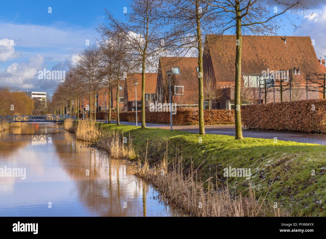 Maisons familiales le long d'une berge, dans une zone urbaine écologique en hiver, Groningen, Pays-Bas Banque D'Images