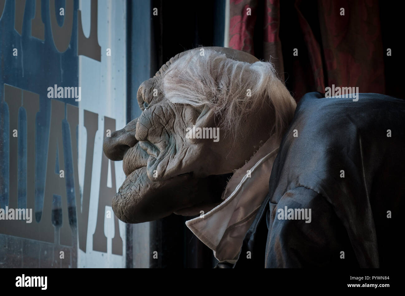 Vieil homme ridé mannequin / mannequin Halloween prop contempler d'une fenêtre Banque D'Images