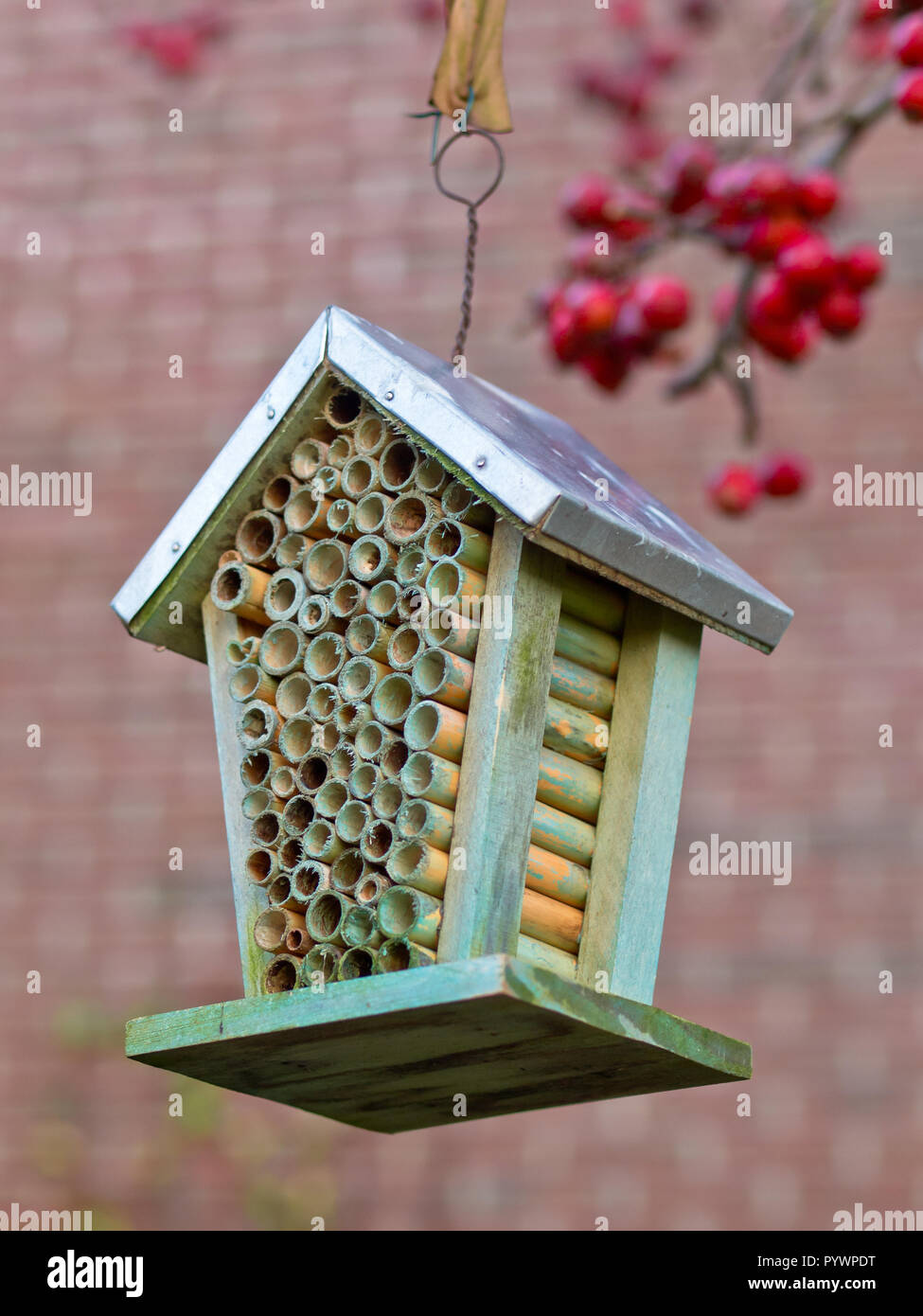Maison des insectes dans un jardin écologique Banque D'Images