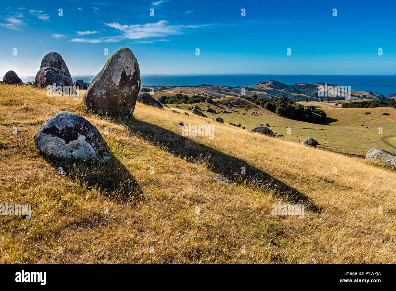 Rockformation à pâte pierreux Waiheke Island, New Zealand Banque D'Images