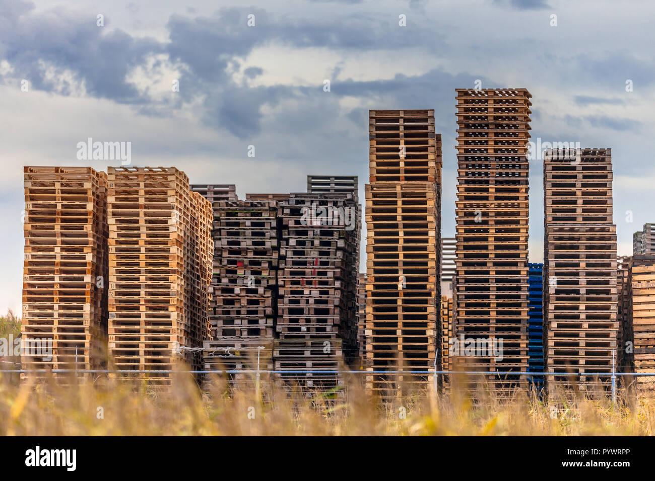 Euro palettes en bois empilé à zone de stockage de l'entrepôt de recyclage Banque D'Images