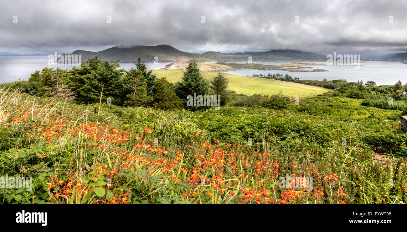 Vues à l'intérieur de l'Anneau du Kerry, l'île de Valentia, Irlande, Europe Banque D'Images