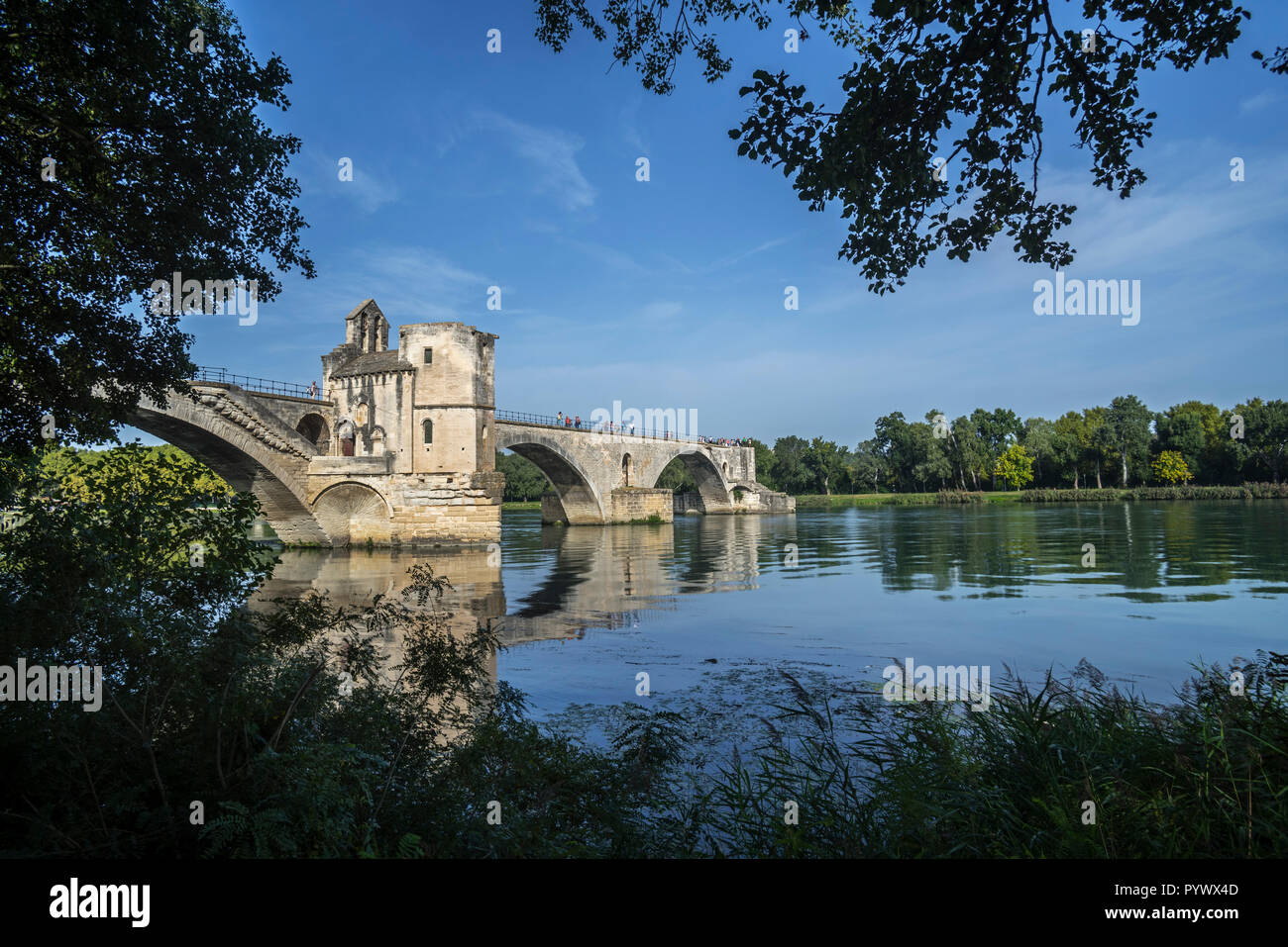 Pont Saint-Bénézet / Pont d'Avignon sur le Rhône, Avignon, Vaucluse, Provence-Alpes-Côte d'Azur, France Banque D'Images