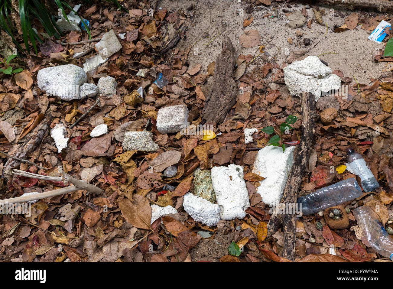 La pollution en plastique d'ordures sur une plage tropicale . Banque D'Images