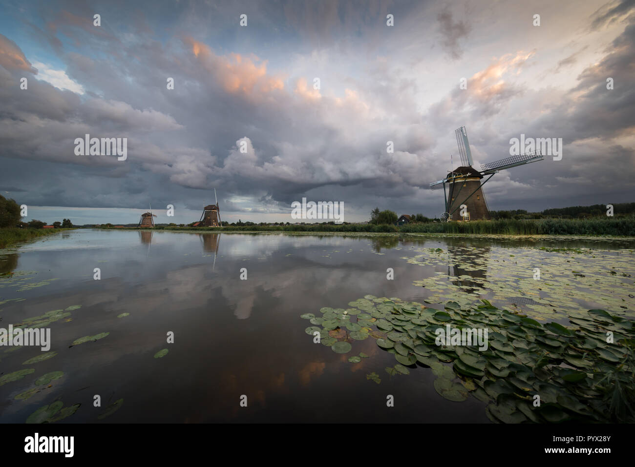 Gros nuages de pluie création d'un ciel dramatique au-dessus d'un paysage avec trois moulins à vent sur le côté de la rivière durant une tempête d'été à Leidschendam, Pays-Bas. Banque D'Images