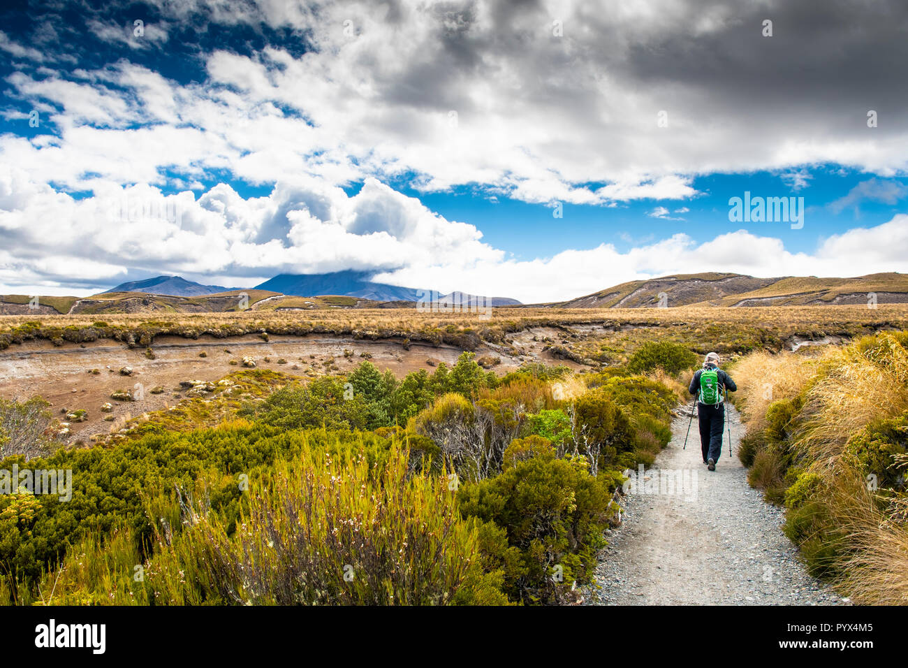 Vue panoramique du parc national de Tongariro en Nouvelle-Zélande Banque D'Images