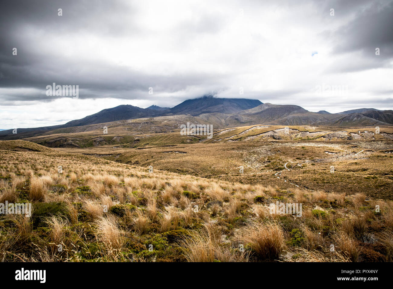 Vue panoramique du parc national de Tongariro en Nouvelle-Zélande Banque D'Images