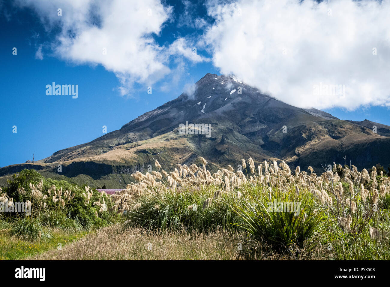 Vue panoramique du Mont Taranaki en parc national d'Egmont, en Nouvelle-Zélande Banque D'Images