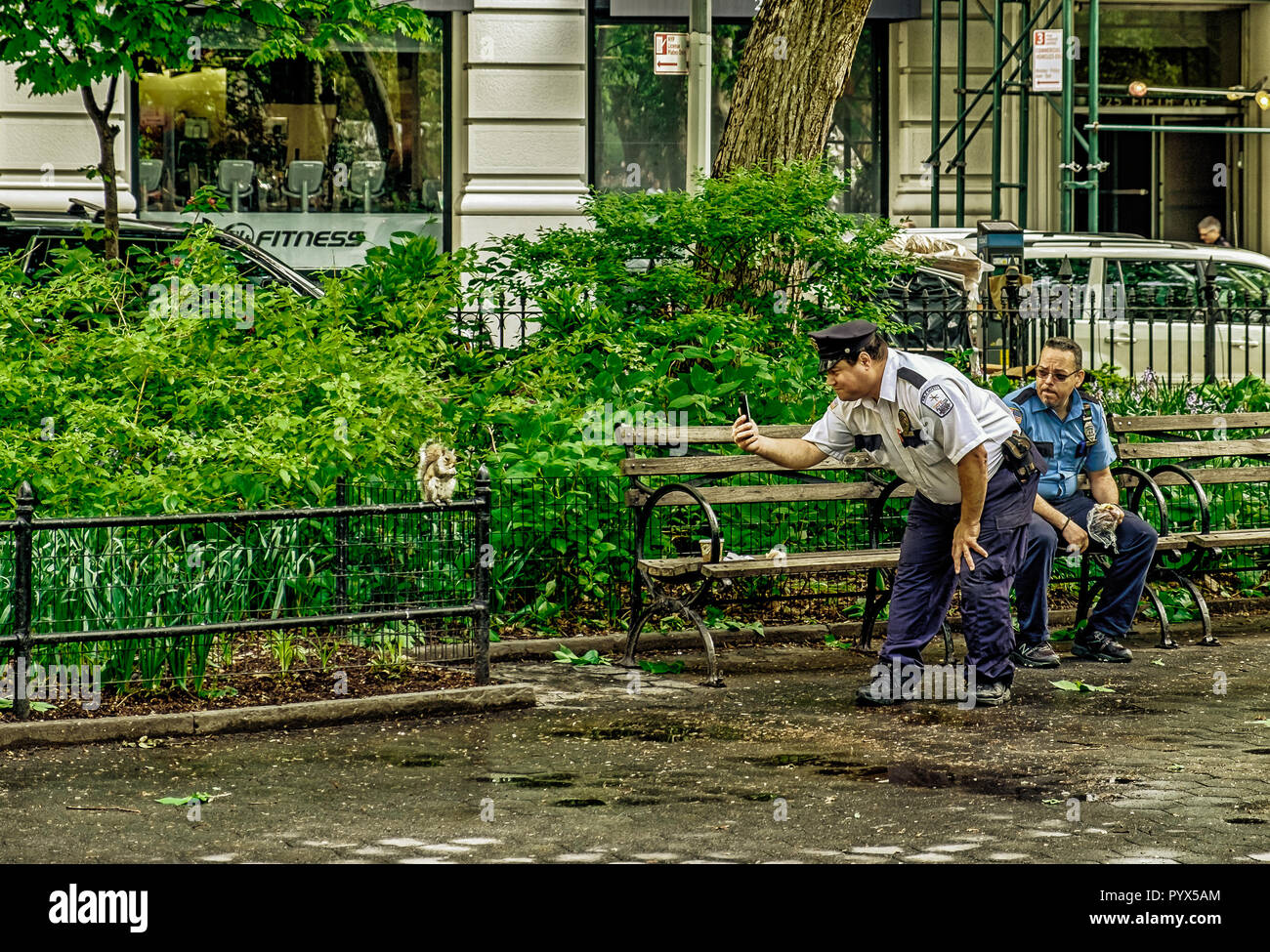 New York City, USA, mai 2018, un policier sur sa pause de prendre une photo d'un écureuil dans le Madison Square Park Banque D'Images