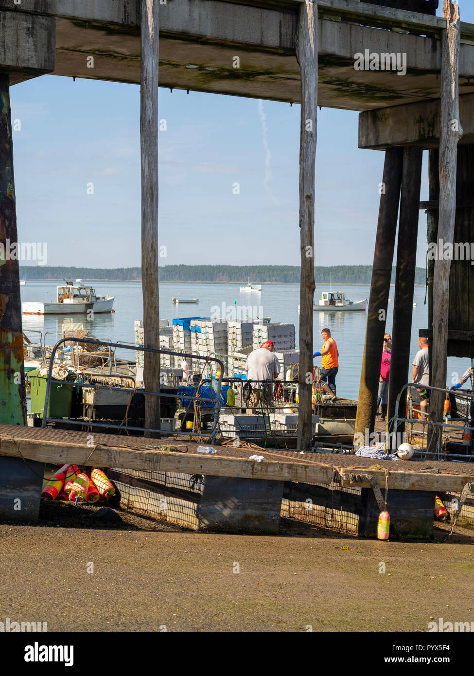 La vente de transport quotidien au homard Ripley Cove, Maine, USA. Banque D'Images