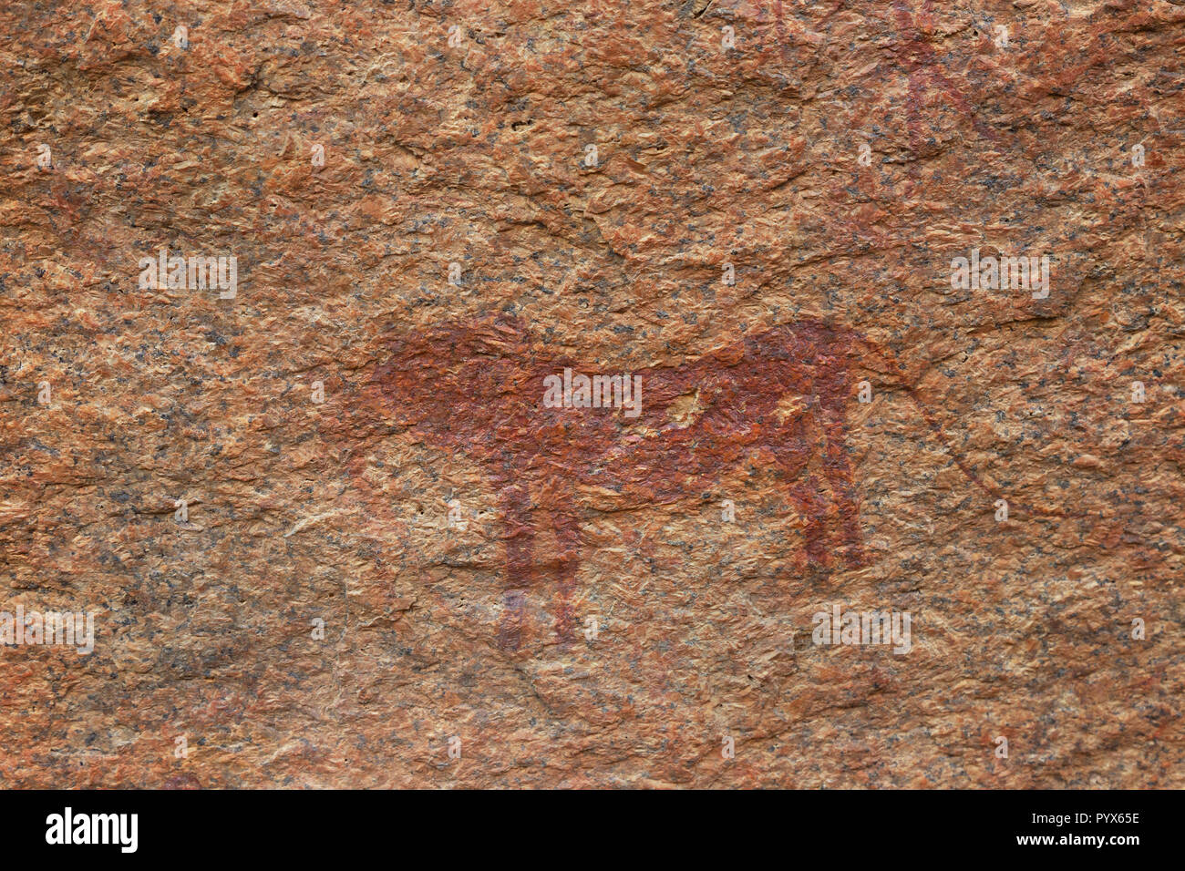 Namibie - peinture rock rock art antique par Les bushmen montrant un lion, environ 2000 ans ; les petits paradis Bushman, Spitzkoppe, Afrique Namibie Banque D'Images