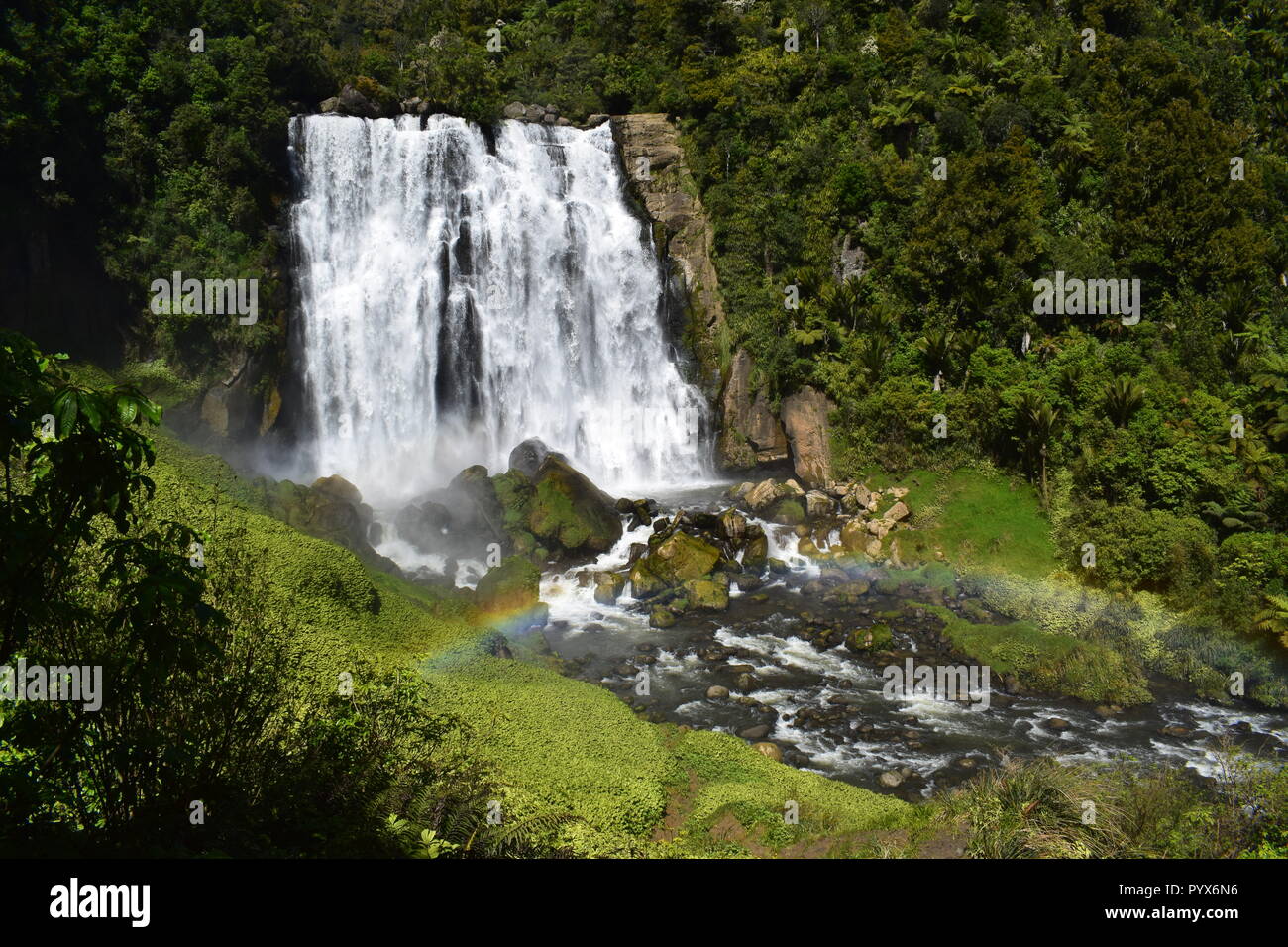 Marokopa Falls, Waitomo, Nouvelle-Zélande Banque D'Images