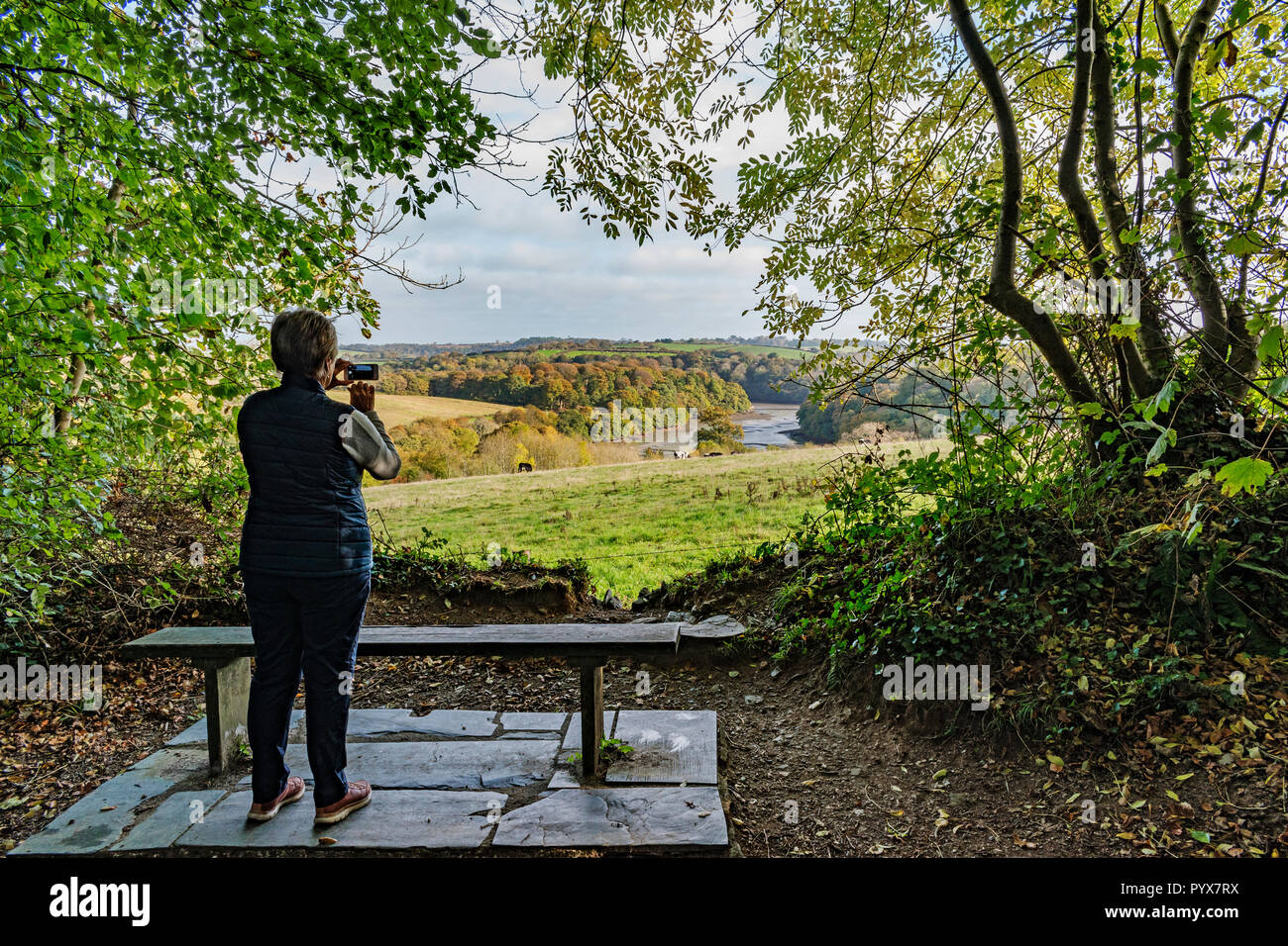 Woman taking photo de campagne et rivière Fal Creek, près de Truro, Cornwall, Angleterre, Grande-Bretagne, Royaume-Uni. Banque D'Images Woman taking photo de campagne et rivière Fal Creek, près de Truro, Cornwall, Angleterre, Grande-Bretagne, Royaume-Uni. Banque D'Images