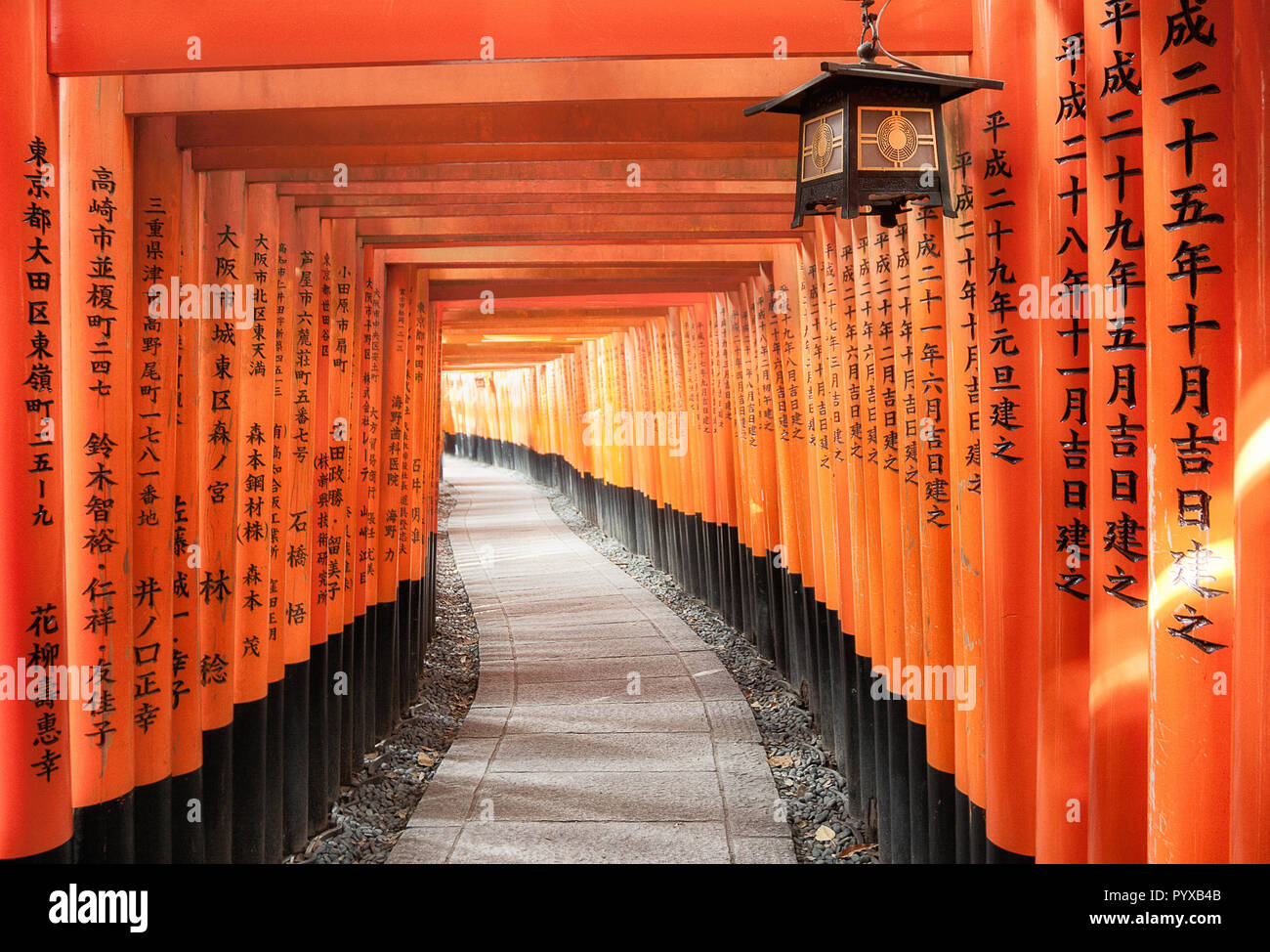 Chemin portes torii à l'entrée de Fushimi Inari Taisha, Kyoto, Japon. Banque D'Images