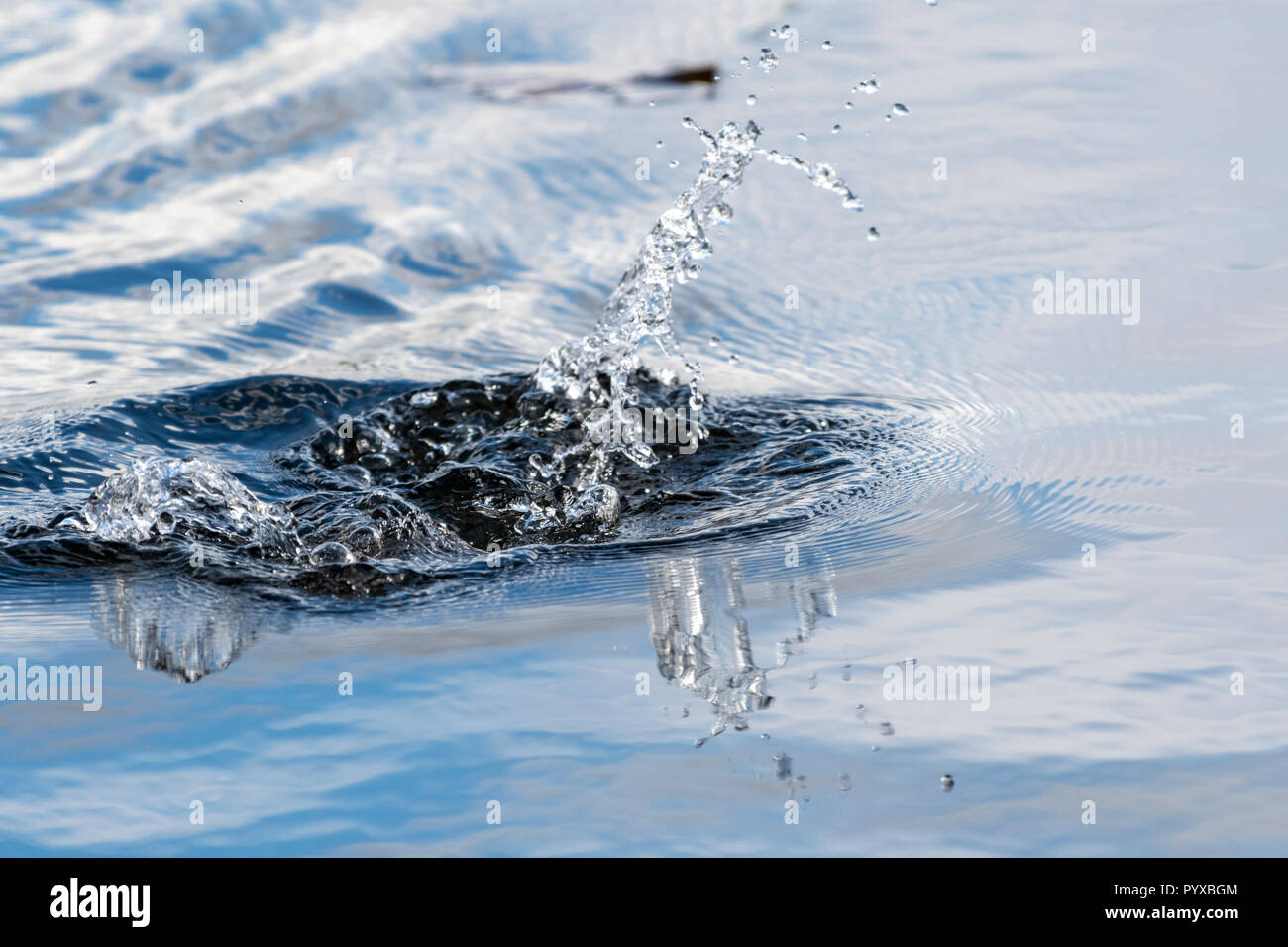 Les éclaboussures d'eau et les gouttelettes dans l'air. Banque D'Images