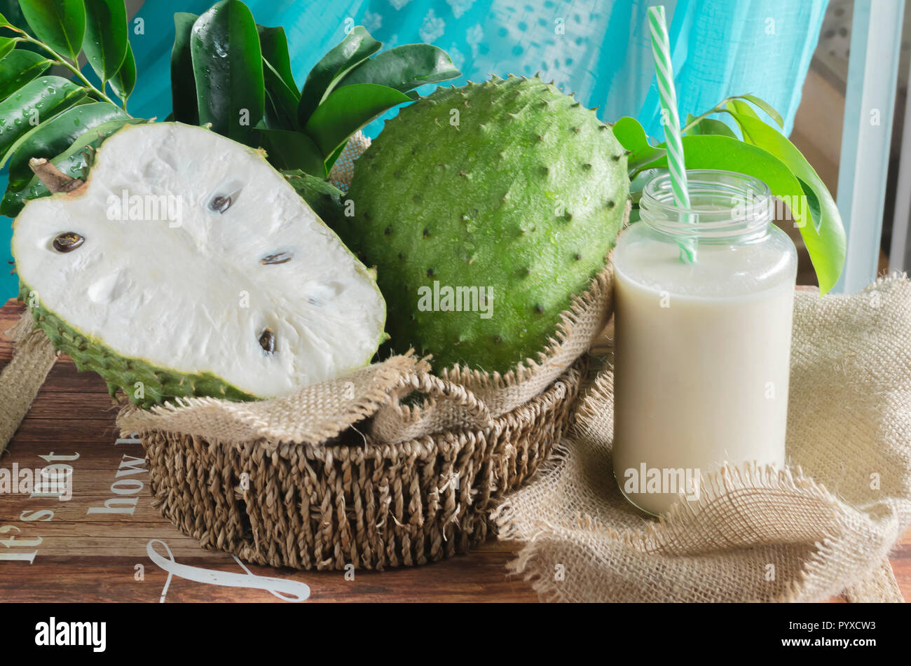 Corossol (aussi guyabano, Graviola, et en Amérique latine, guanábana) est le fruit d'Annona muricata, un anti-dicotylédones, floraison, arbre à feuilles persistantes Banque D'Images