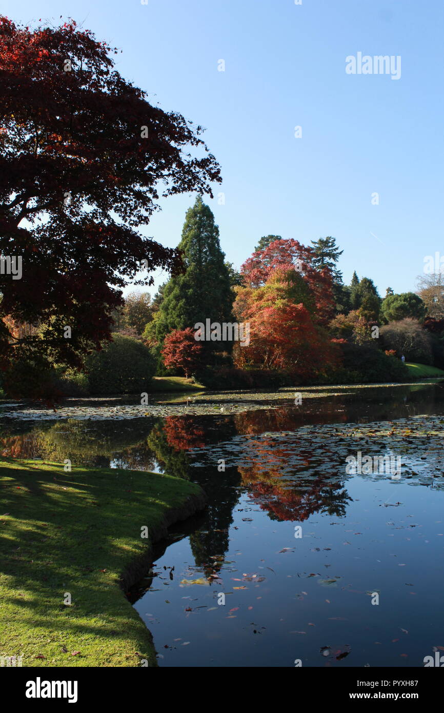 Arbres d'automne reflètent dans un lac à Sheffield Park Banque D'Images