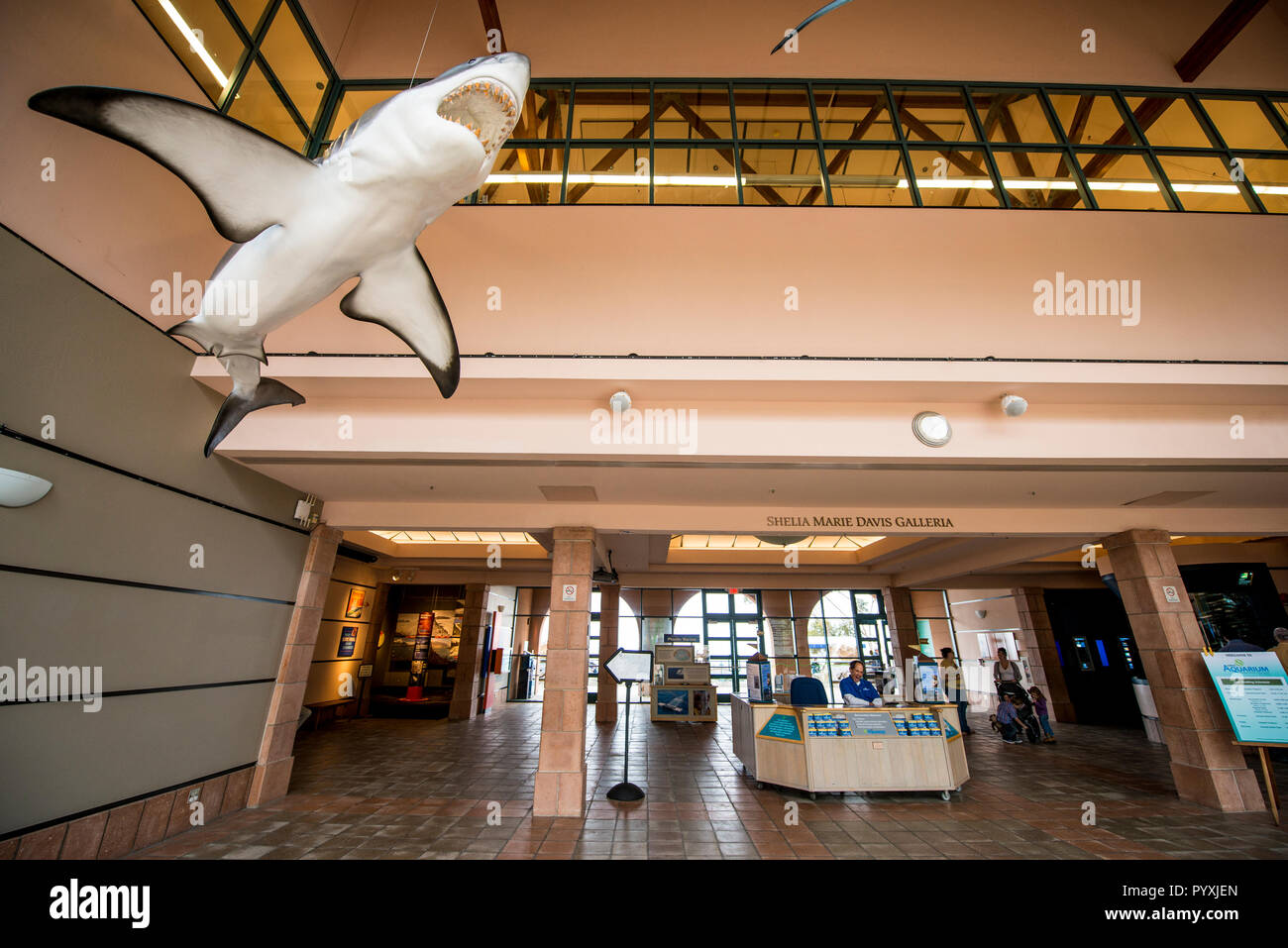 Hall d'entrée de l'aquarium de Birch à l'établissement d'océanographie Scripps, San Diego, Californie. Banque D'Images