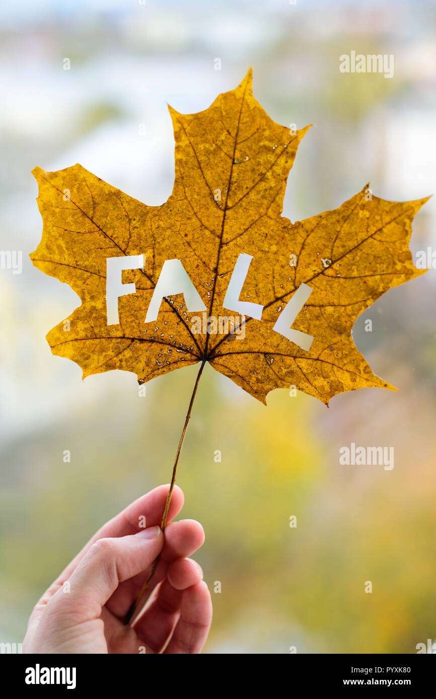 Feuille d'érable avec word en automne femme part avec en arrière-plan du parc Banque D'Images