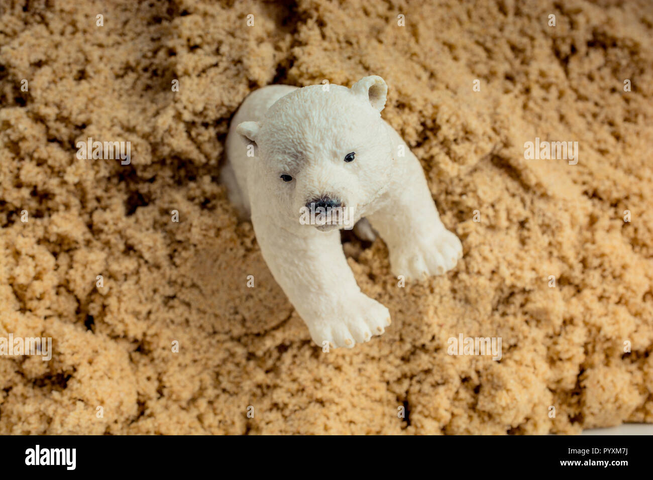 Modèle d'ours blancs placés sur fond de sable en vue Banque D'Images