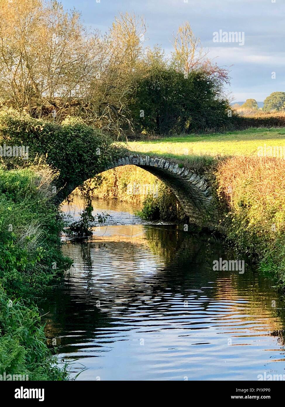 Pack Horse pont sur la rivière Isle près de Ilminster Banque D'Images