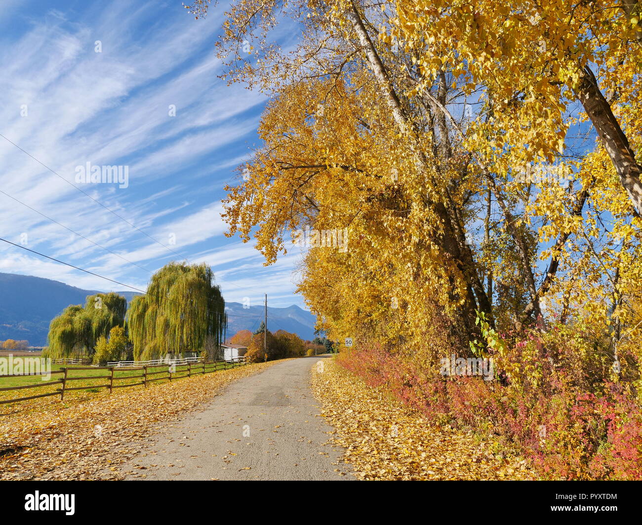 Beau décor de l'automne en Colombie-Britannique Banque D'Images