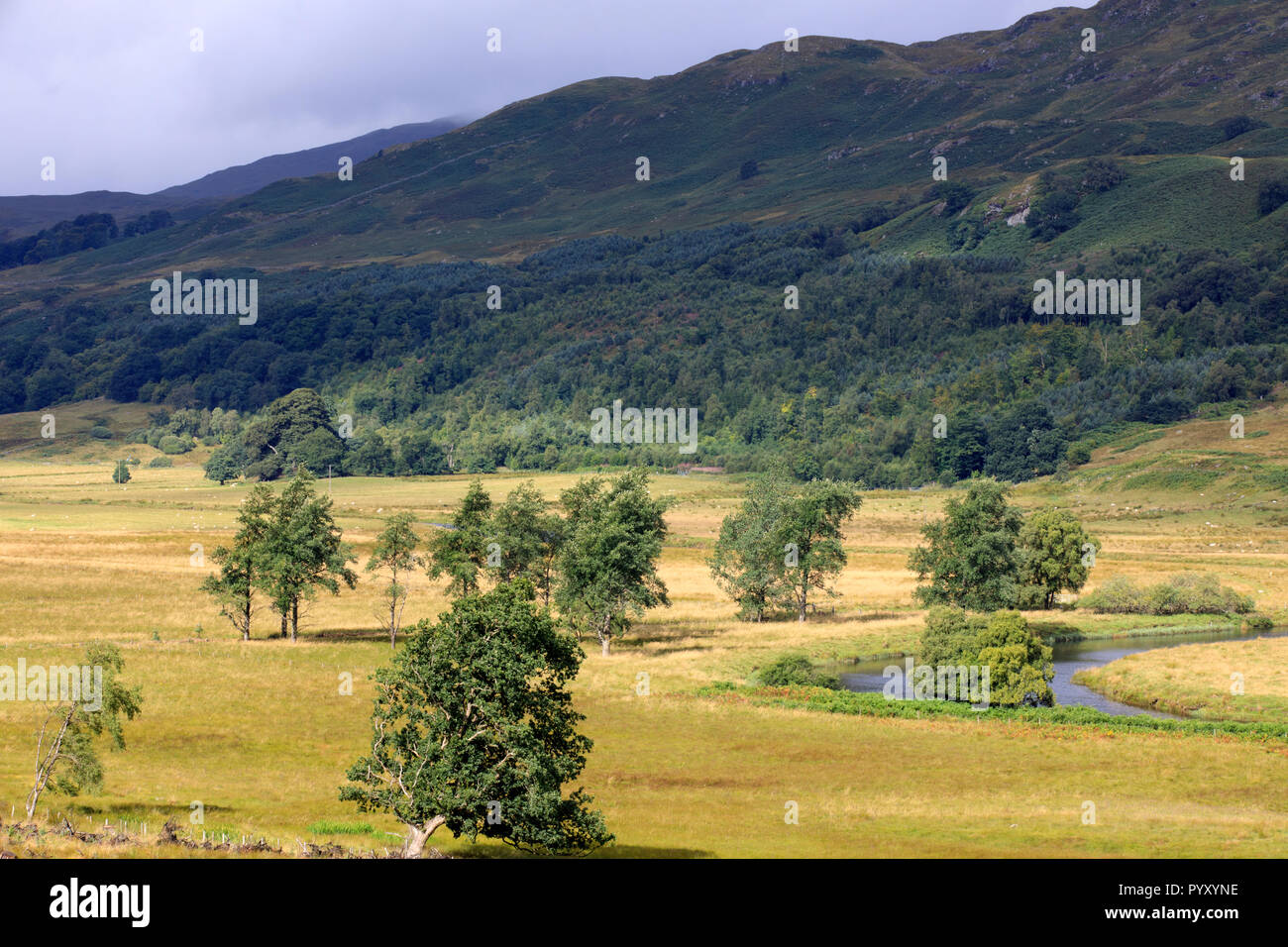 Le paysage près de Loch Awe, Ecosse, Royaume-Uni Banque D'Images